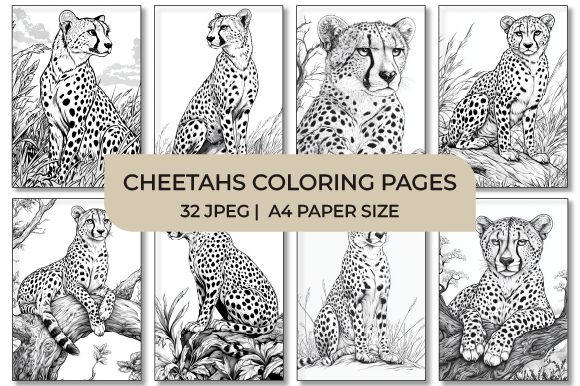 Cheetahs Coloring Pages Graphic by Sumon Chandra · Creative Fabrica