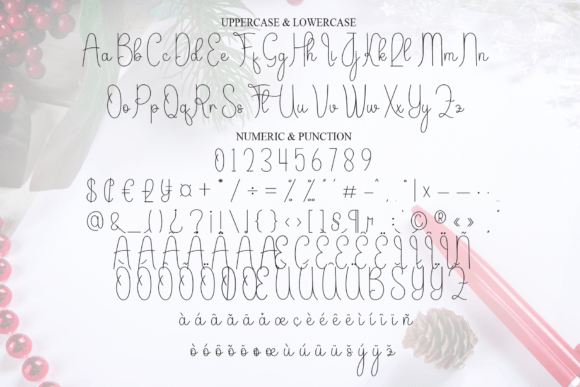 Christmas Signature Font - Preview 6