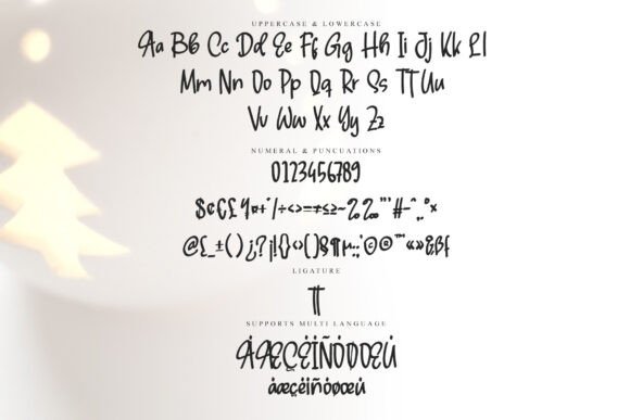 Beloved Written Font - Preview 5