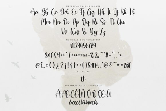 Dashing Scripter Font - Preview 5