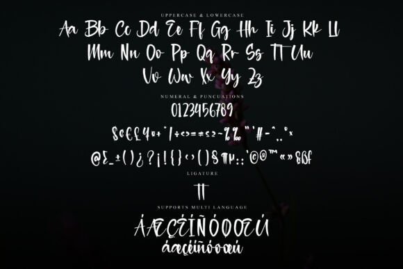 Eligated Dreams Font - Preview 5