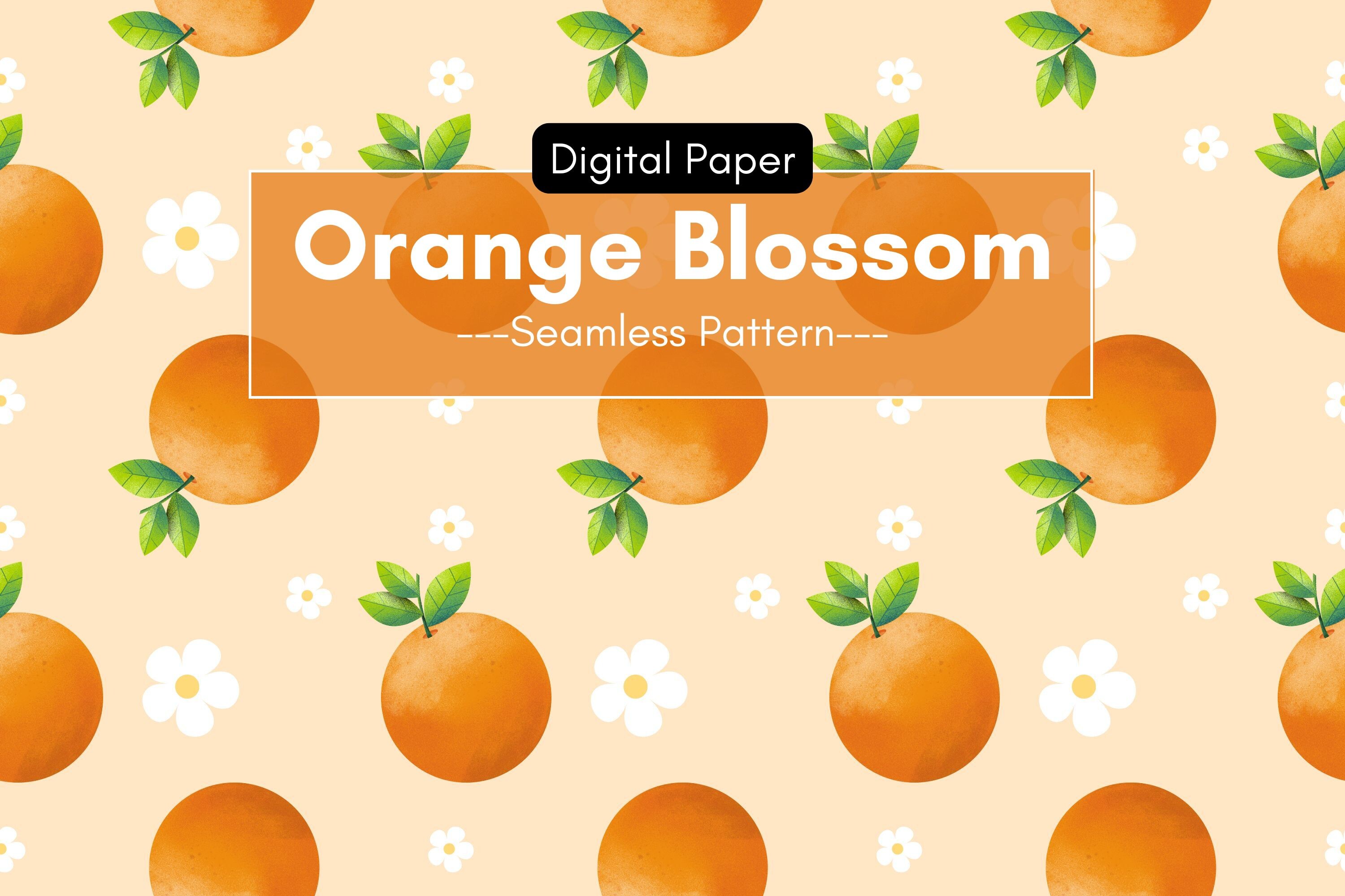 Orange Fruit & Cute Floral Digital Paper Graphic by Patternly Prints ...