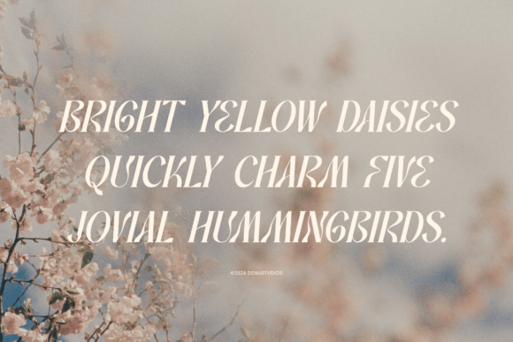 Promised Freyna Font PNG with transparent background - Preview 4