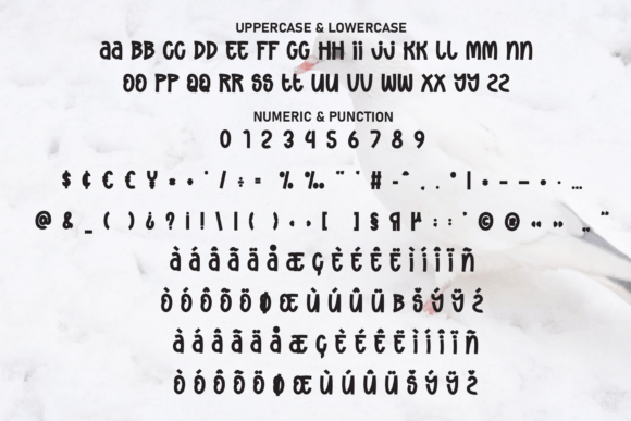 Dove Winter Font - Preview 6