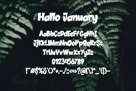 Hallo January Font - Preview 1