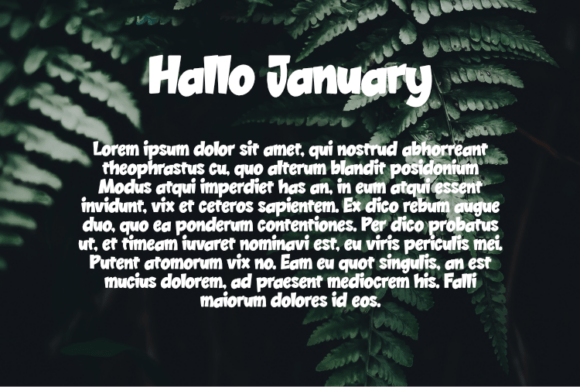 Hallo January Font - Preview 2