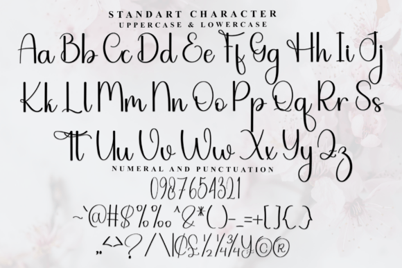 Alphabet Handwriting Font - Preview 4