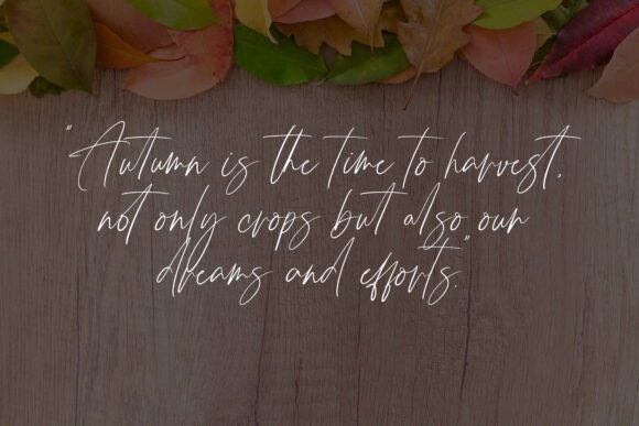 Arnold Books Font - Preview 4