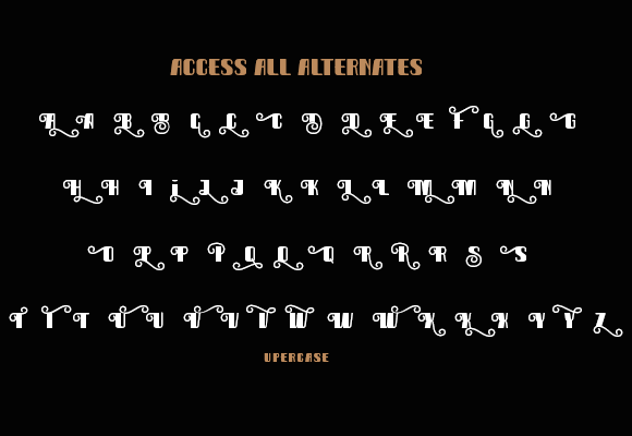 Bongas Font - Preview 5