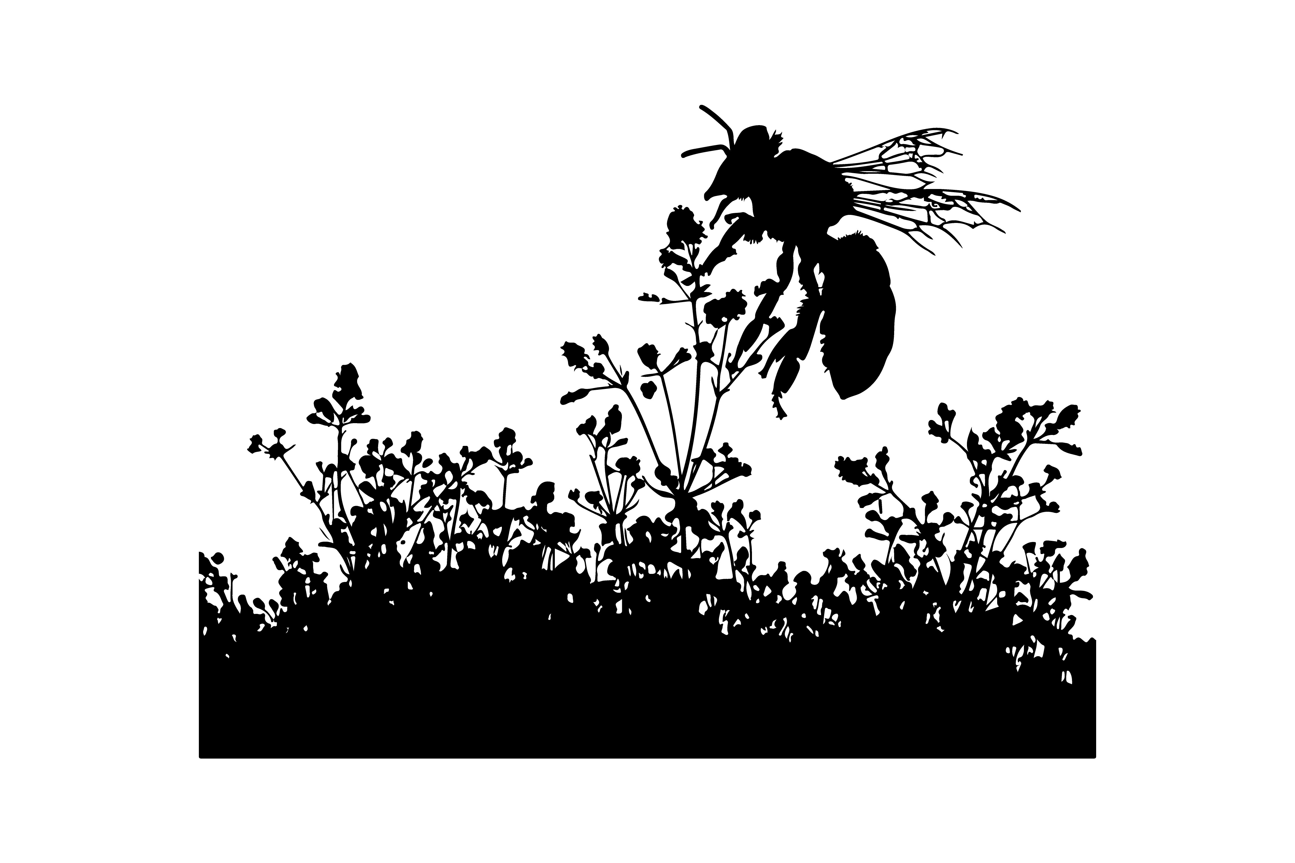 Honey Bee Set, Insects Graphic by fijulanam468 · Creative Fabrica