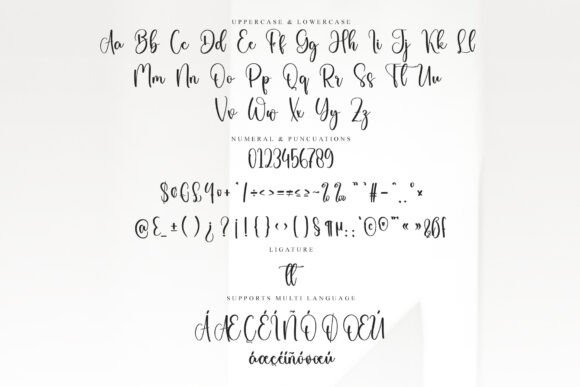 Shopia Signature Font PNG with transparent background - Preview 5