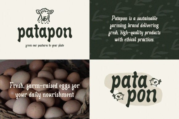 Consorta Font - Preview 3