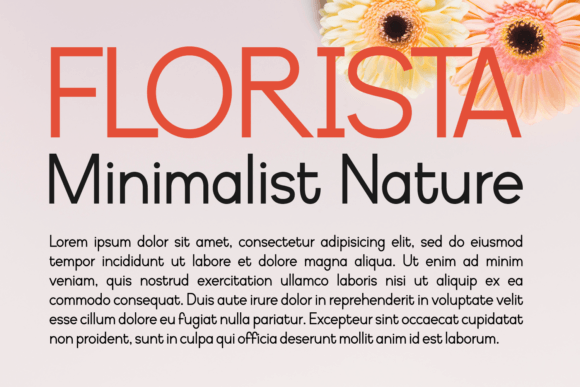 Darston Font - Preview 1
