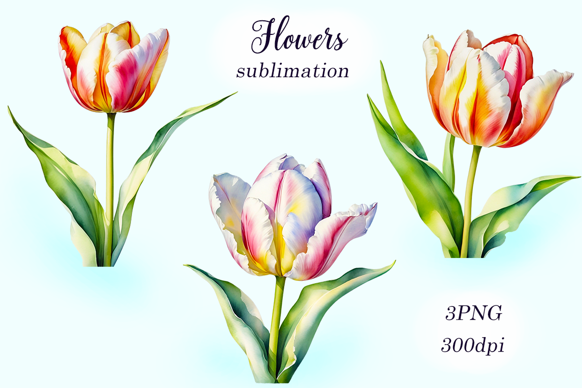 Flowers Sublimation Clipart Graphic by Lemocheka Art · Creative Fabrica