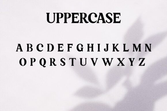 Retpack Serif Font PNG with transparent background - Preview 4