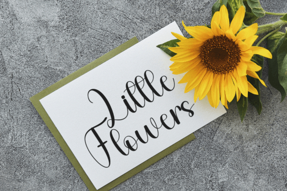 Humble Smart Font PNG with transparent background - Preview 6