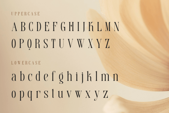 Serino Font PNG with transparent background - Preview 1