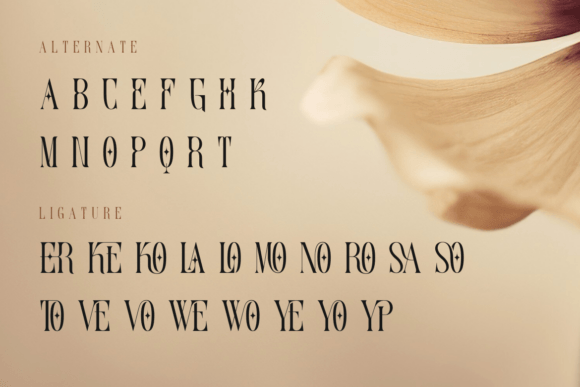 Serino Font PNG with transparent background - Preview 3