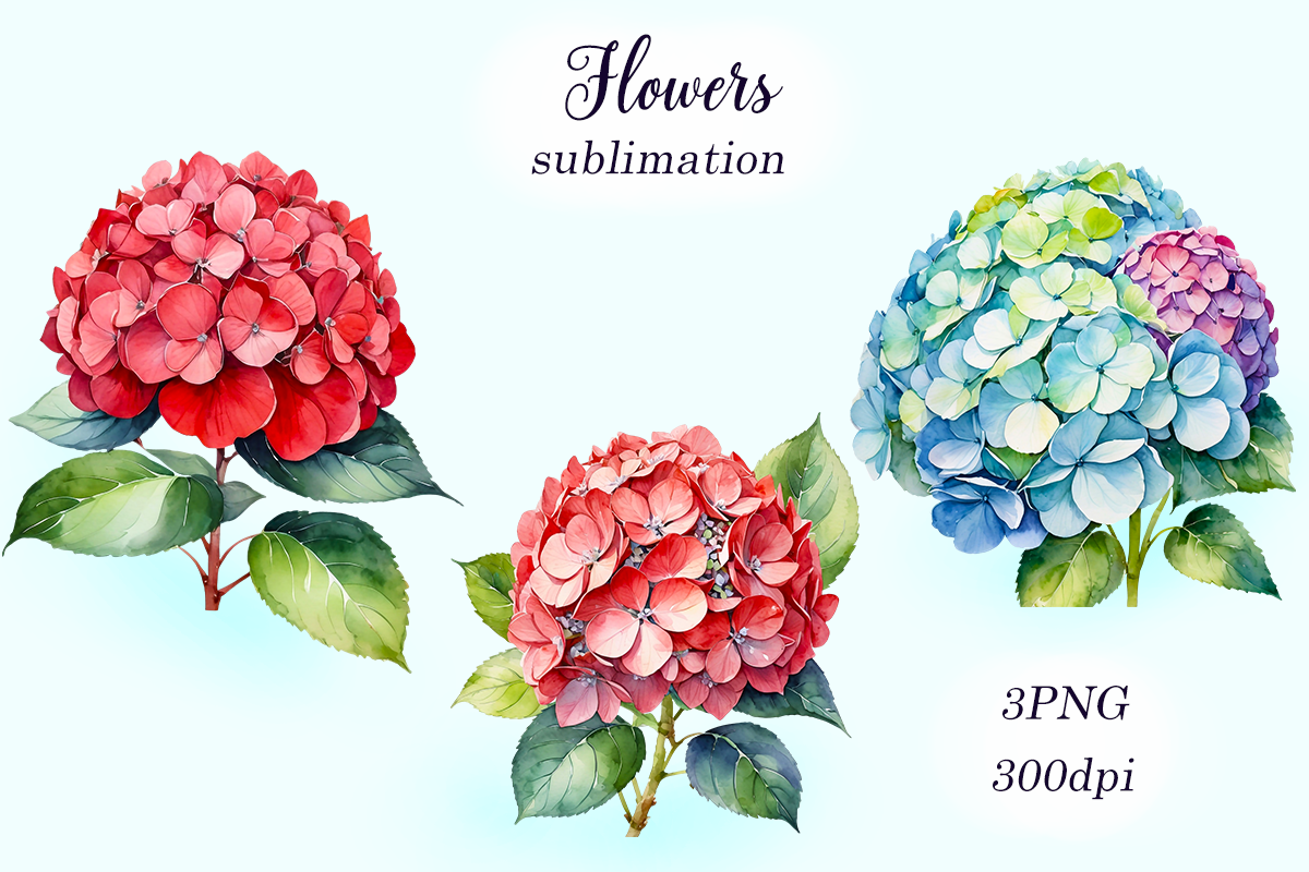 Flowers Sublimation Clipart Graphic by Lemocheka Art · Creative Fabrica
