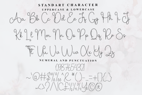Angista Font - Preview 4