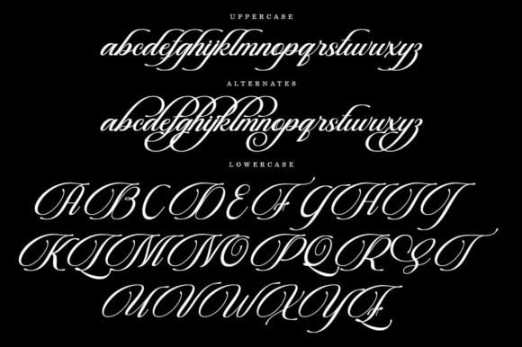 Beautiful Heliography Font - Preview 5