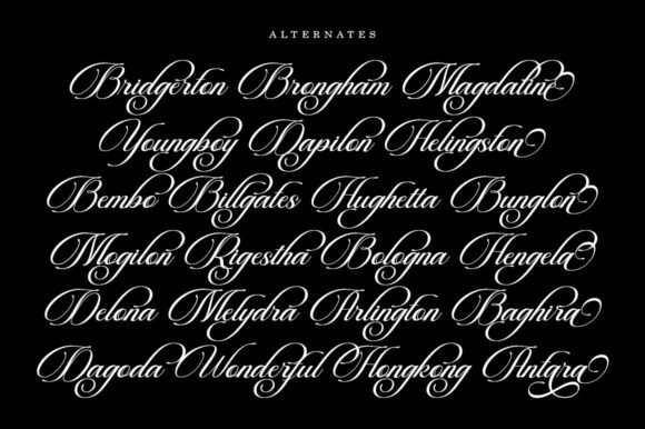Beautiful Heliography Font - Preview 6