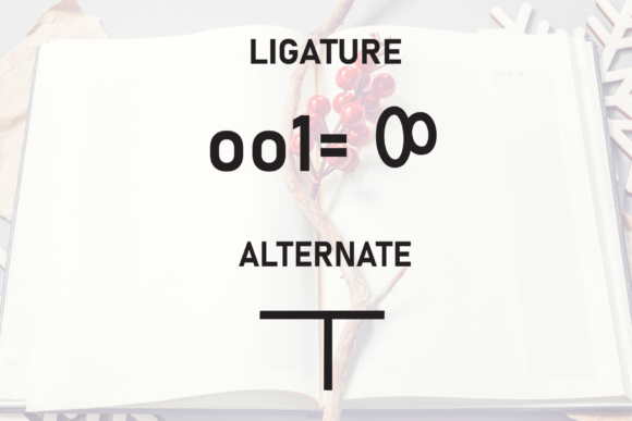 Book Winter Font - Preview 6