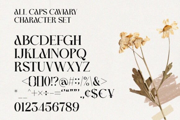 Caviary Font PNG with transparent background - Preview 3