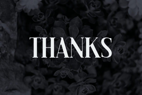 Hallo Malvie Font PNG with transparent background - Preview 4