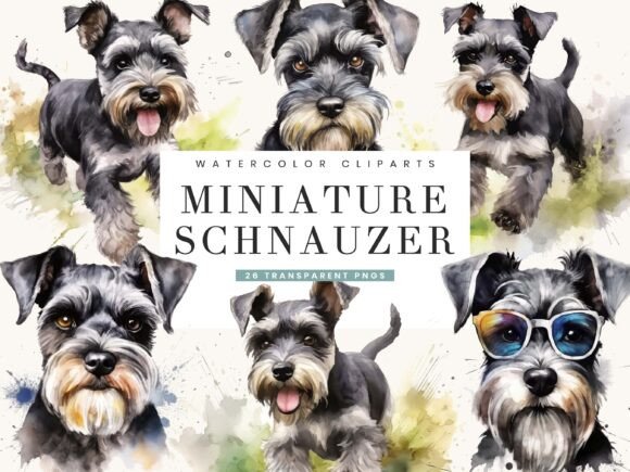 Watercolor Miniature Schnauzer Clipart for sublimation mugs and totes