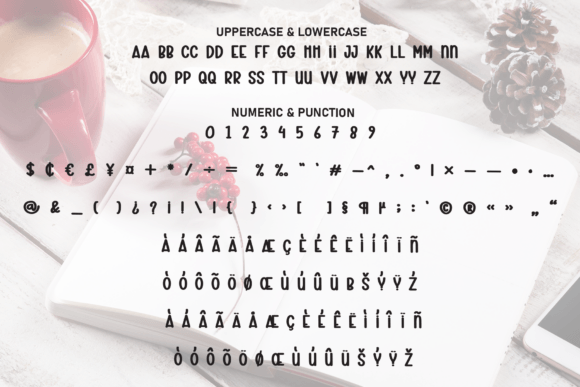 Book Winter Font - Preview 6