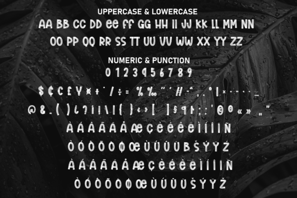 Black Friday Font - Preview 6