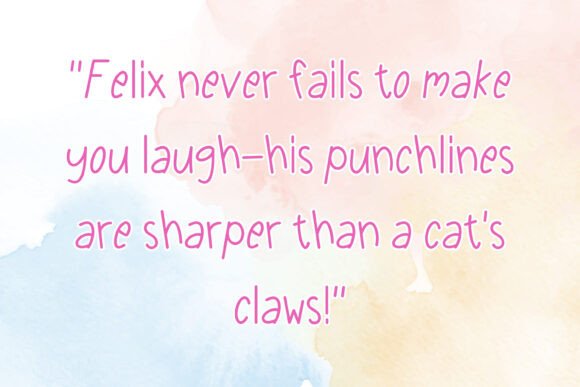 Funny Felix Font - Preview 1