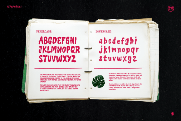 Seroja Font PNG with transparent background - Preview 4
