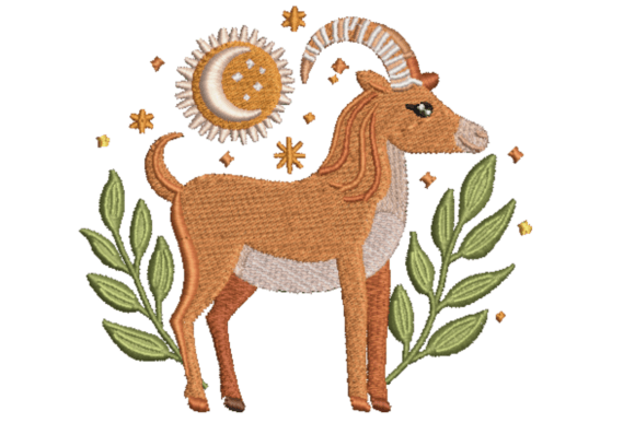 Zodiac Signs Capricorn