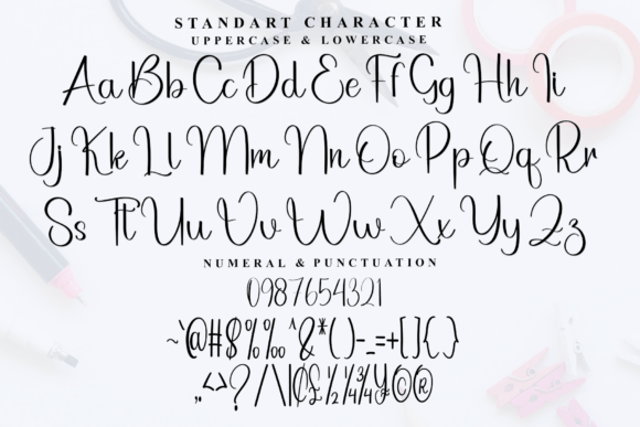 Brother Signature Font - Preview 4