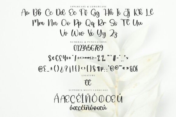 California Signature Font - Preview 5