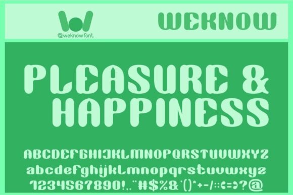 Classy Vibes Font - Preview 2