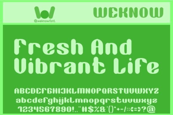 Classy Vibes Font - Preview 4