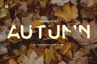 Rustica Script Rustica Plains Font by roomspace · Creative Fabrica