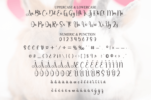 Bunny Font - Preview 6