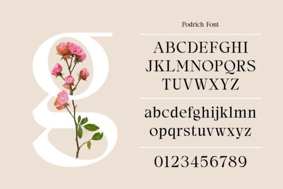 Podrich Font PNG with transparent background - Preview 1