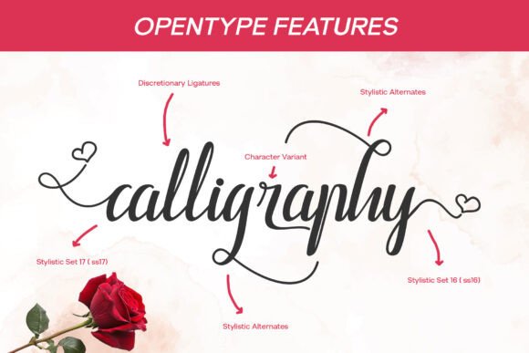 Bapelna Script Font - Preview 3