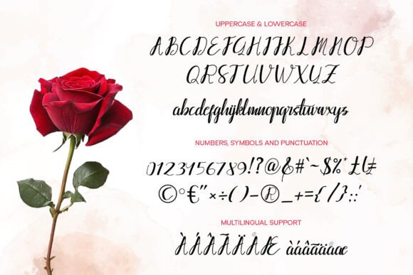Bapelna Script Font - Preview 4