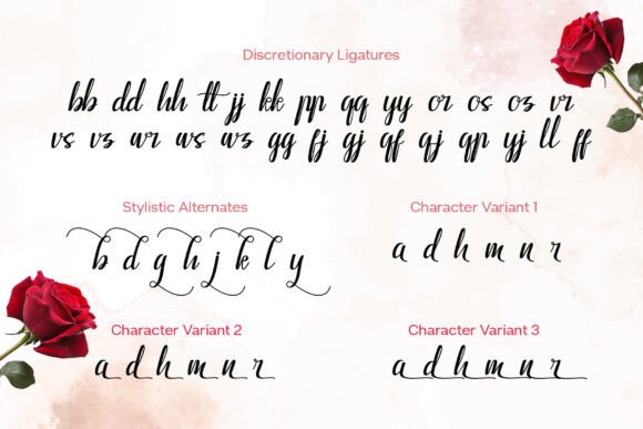 Bapelna Script Font - Preview 5