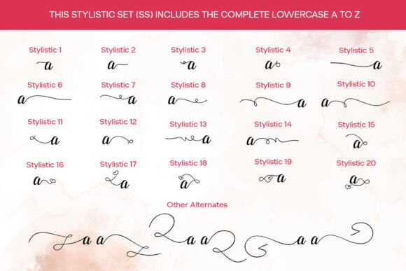 Bapelna Script Font - Preview 6