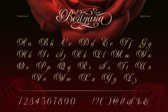Berlyana Sensual Font - Preview 3