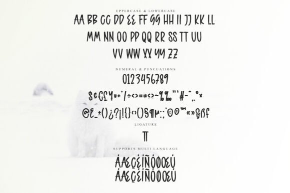 Brawny Font - Preview 5