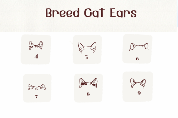 Breed Cat Ears Font - Preview 3