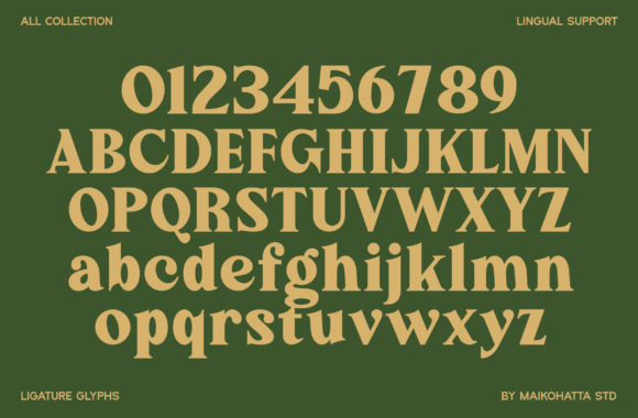 Cadia Font - Preview 4